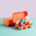 Kuti vezësh Koziol Eggs to Go Mini, 6 vezë, plastike, e kuqe