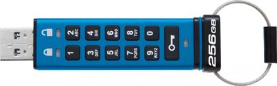 USB Pendrive Kingston IronKey 200, 256GB, USB 3.0, AES, e kaltër