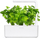 Kapsula me bimë Click &amp; Grow Leaf Celery, set me 3 copë, jeshile