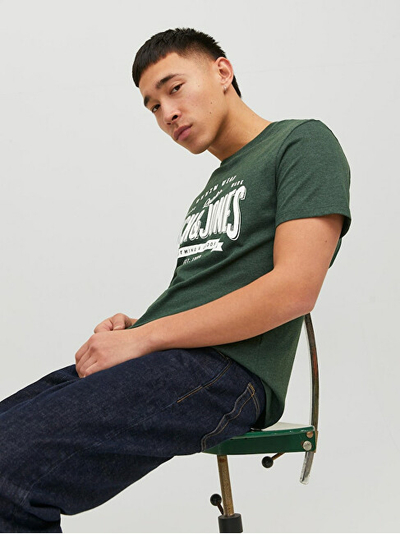 Maicë Jack&Jones JJELOGO Standard Fit 12238252 mountain view