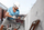 Stërvitje për beton Bosch Pro SDS plus-5X, 14mm, 160mm, gri