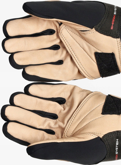 Dorëza skish LEKI PRC Premium Thermo Plus Shark, termo, të zeza