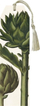 Shenjë libri Karczoch Bookmark With Ribbon, karton, me fjongo dekorative, shumëngjyrëshe