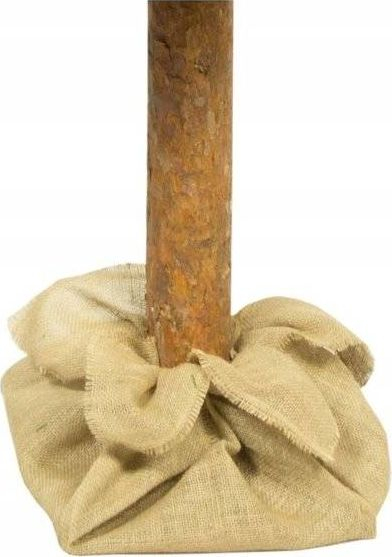 Pemë Krishtlindjesh Diamond Pine 3D, 180cm, me trung druri, jeshile
