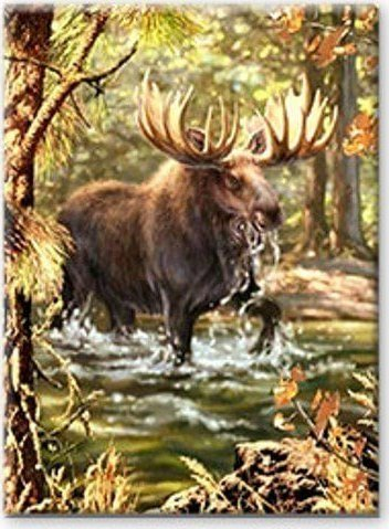 Set mozaik me diamant Norimpex Moose In The Forest, tablo dekorative, multikolor