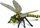 Figurinë Collecta Dragonfly, lodër për mësim, me shumë ngjyra