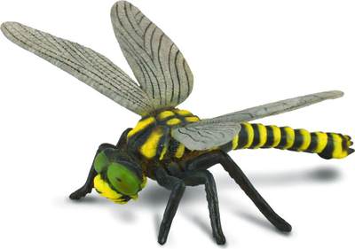 Figurinë Collecta Dragonfly, lodër për mësim, me shumë ngjyra