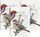 Fletore ngjitëse Field Notes Post it Birds and Trees of North America, set, shumëngjyrëshe