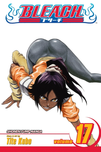 Bleach 17 - Tite Kubo
