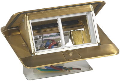 Prizë e fshehur për tavolinë Legrand Brass Popup 054016, 2x rrymë, metalike, bronz