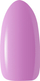 Гел-лак Ocho Nails Rainbow R07, хибриден, 5 g, розово виолетов