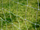 Portë futbolli Stadion SP0661, 300x200x90 cm, metal, e bardhë