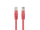Kabllo rrjeti Lanberg PCU5-20CC-0025-R, UTP Cat5e, 0.25m, e kuqe, set 10 copë