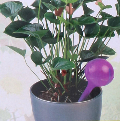 Shishe ujitje për bimë Kinzo, 250 ml, transparente