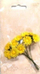 Lule dekori me letër Galeria Hobby Paper Daisies, set me 10 copë, të verdha