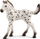 Figurinë Schleich Horse Club Knabstrupper F, lodër për me mbledh, shumëngjyrëshe