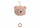 Loder me melodi Teddy Wild Rose