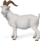 Figurë lodër Papo 51144 White Nanny Goat, dhi shtëpiake, e bardhë