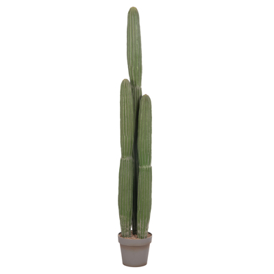 Bimë dekorative sintetike HM4745, kaktus me vazo, 144cm, jeshile