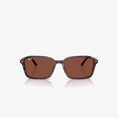 Ray-Ban RB2231 1416C5 58