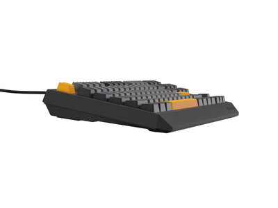 Механичка тастатура Genesis Thor 230 TKL, Outemu Red, RGB, црна