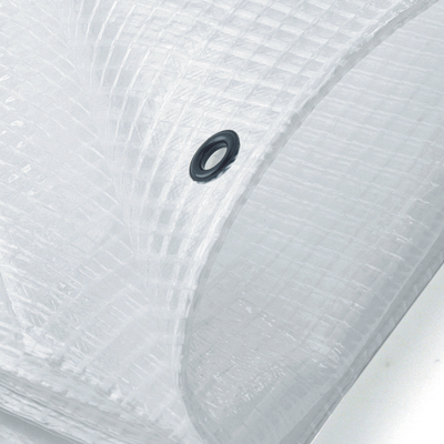 Ceradë STACO FLEX Tarpaulin, 6 x 10 m, rezistente UV, transparente