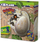 Играчка јајце диносаурус SES Explore Hatching Dino, изненадување, едукативна, повеќебојна