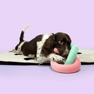 Плишана играчка за кучиња Coockoo Plush Snuggle Snake, во форма на змија, со јаже, повеќебојна