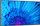 Monitor NEC MultiSync M491, 49'', UHD 4K, 60Hz, i zi