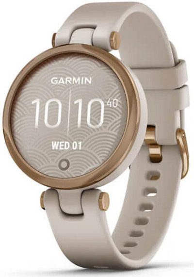 Orë e mençur Garmin 010-02384-11