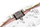 Mbrojtëse splice për fibra optike Digitus, set me 15 copë, transparente