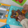 Puzzle druri Woopie 6n1 Mini Animal, 34 copa, Montessori, shumëngjyrësh