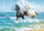 Set mozaiku me diamante Titanum Horses, 40x30cm, shumëngjyrësh