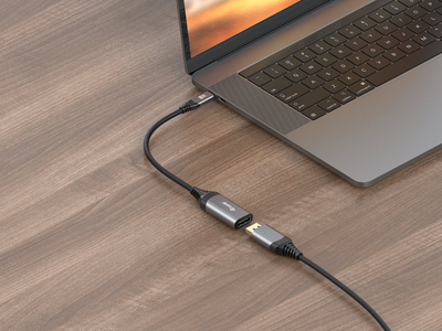 Adaptor USB C në DisplayPort Equip 133493, 8K 30Hz, i zi