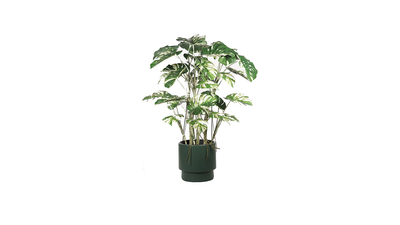 Lule artificiale Verde Decor Monstera Variegate, 150cm