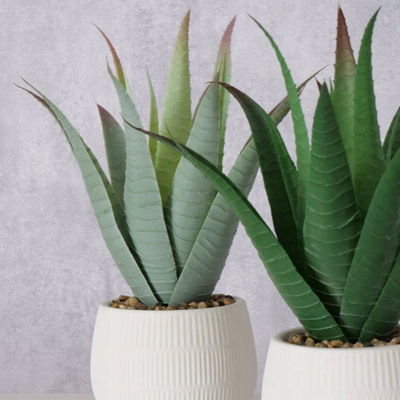 Bimë artificiale aloe Boltze MONDRAGO, 29 cm, me vazo, jeshile