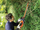 Gërshërë shkurresh Black+Decker GTC18452PC-QW, 45 cm, 18V, portokalli e zezë