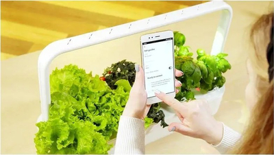 Kopsht inteligjent Click and Grow Smart Garden 9 Pro, me dritë LED, ujitje automatike, i bardhë