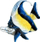 Peshk akuariumi Angelfish, 35cm, për zbukurim