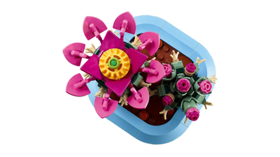 Lodra ndërtimi LEGO Botanicals 11509 Flowering Cactus, set dekorativ, 9+, shumëngjyrëshe