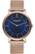 Ore Pierre Cardin PC902621F14