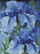 Set mozaik me diamante Ideyka Blue Irises, 30x40cm, 5D, shumëngjyrësh