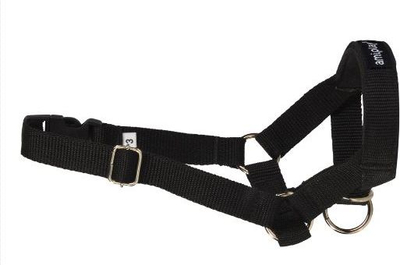 Околувратник за дресирање кучиња Amiplay Basic Halter, големина L, црн