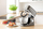 Robot kuzhine planetar Sencor