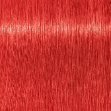 Ngjyrë për flokë Schwarzkopf Igora Royal MIX, 0-88, 60 ml