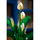 Set ndërtimi LEGO Botanicals Peace Lily 11504, 474 pjesë, dekor për të rritur, shumëngjyrësh