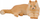 Figurë koleksionuese Collecta Persian Cat Lying, miniaturë mace persiane, shumëngjyrëshe