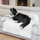 Shtrat për qen Paw Love Dog Basket Medium, i butë, blu