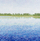 Kartolinë Susan Entwistle “Western Water” me zarf, peizazh me ujë, shumëngjyrëshe