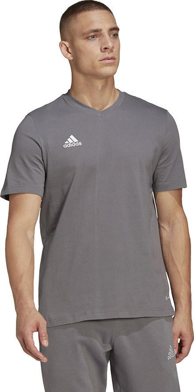 Bluzë sportive për burra adidas Entrada 22 Tee HC0449, pambuk 100%, jakë V, gri